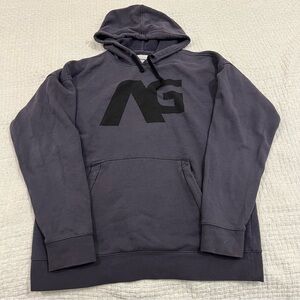 Analog AG Logo Snowboarding Pullover Hoodie Thumbhole Zip Pocket Gray L